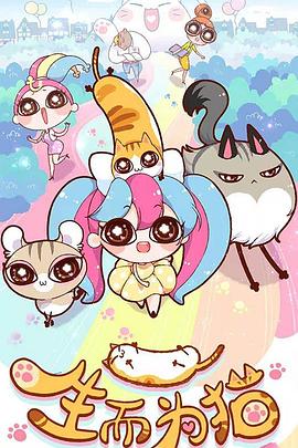 泉州网站优化简历设计